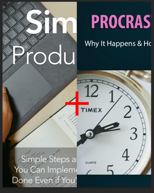 1+1 Simple Productivity/ Procastination Bundle